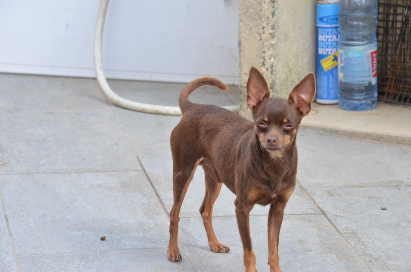 adulte pour retraite