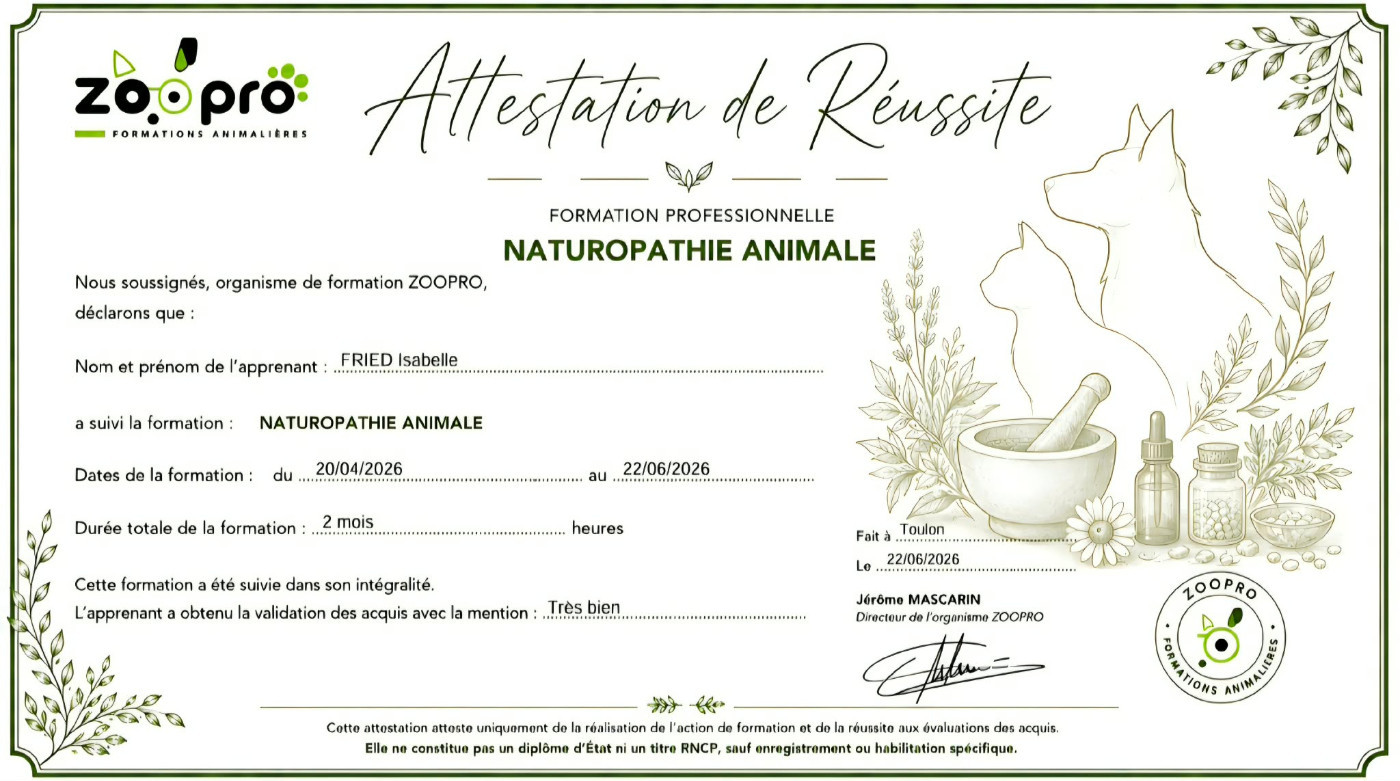 Naturopathe